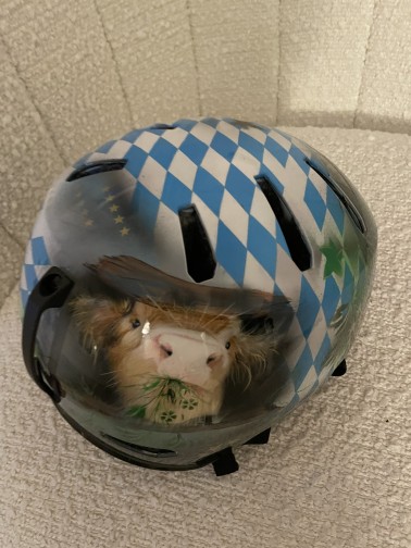 Skihelm Skihelm geairbrush auf bayerisch mit einer Kuh in blau wiess und brauntönen